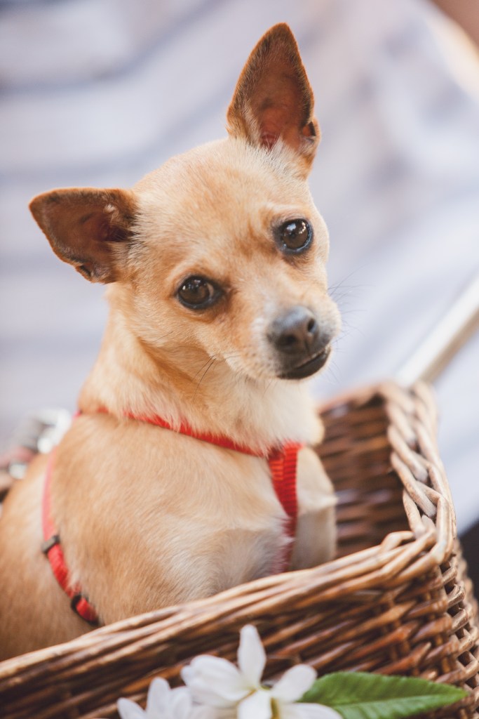 Processed with VSCO with hb1 preset